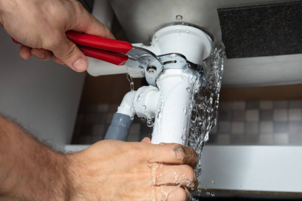 Best Professional water damage repair  in Eleele, HI