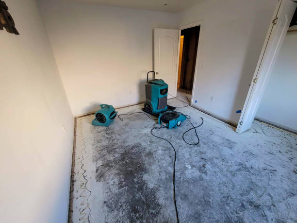 Water damage restoration mold remediation in HI