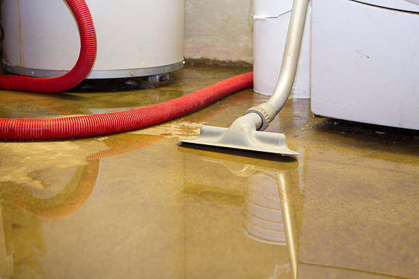 Best Carpet water damage restoration  in Eleele, HI