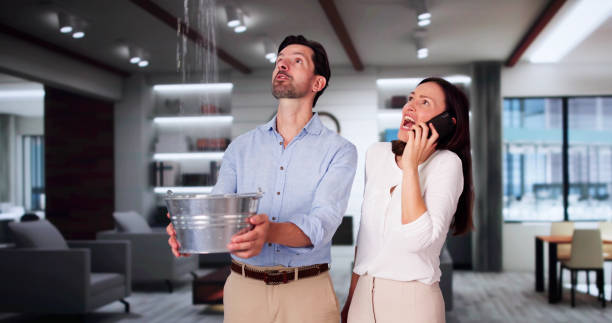 Best Residential water damage restoration  in Eleele, HI